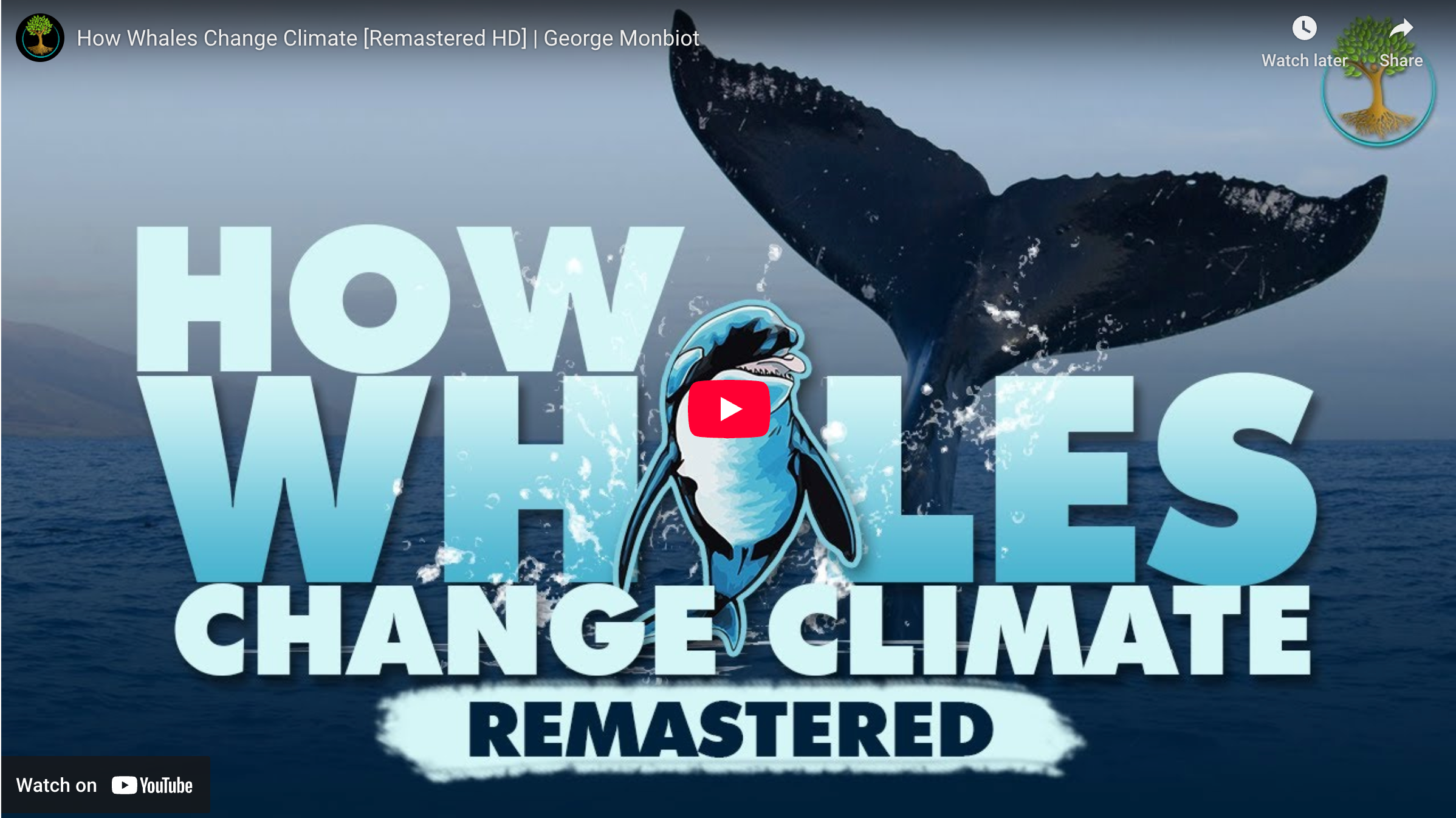Load video: How whales change climate