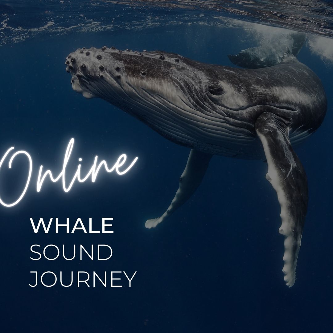 Ticket: ONLINE Whale Sound Journey