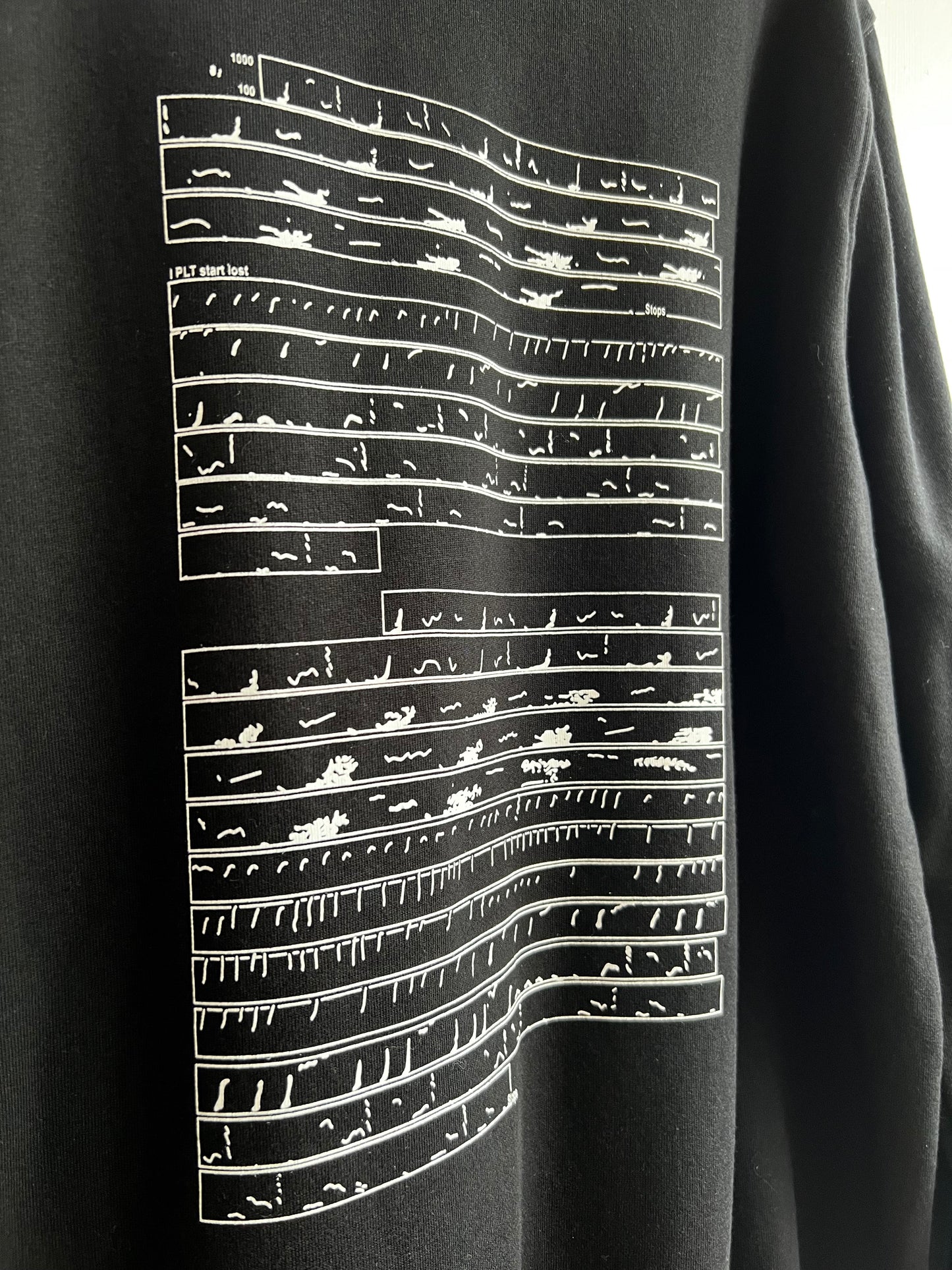 THE VOICE OF WHALES - Change Maker Hoodie